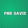 pnb_d